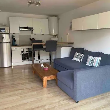Super Studio A Stella Plage Apartment